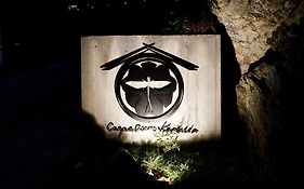 Carpe Diem Kamaida